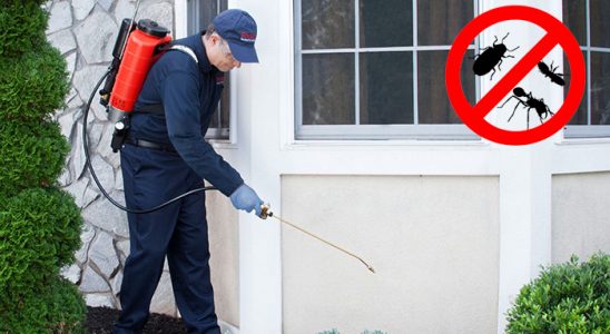 Hemşin Bit İlaçlama böcek ilaçlama ve haşere kontrolü — ilaclama-tr.com